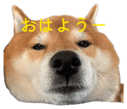 838903487