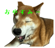 838903488