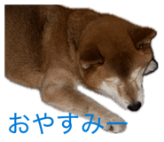 838903489