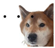 838903494