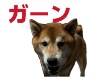 838903498