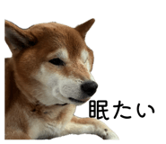 838903499