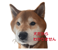 838903505