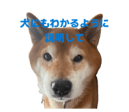 838903508