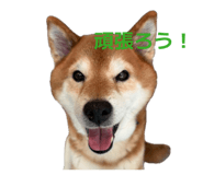 838903509