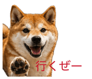 838903512