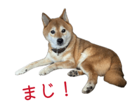 838903518