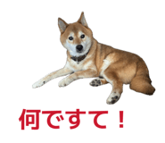 838903519