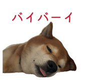 838903520
