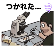 838915342