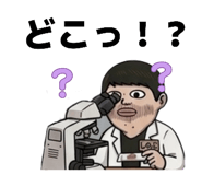 838915348