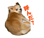 838915579