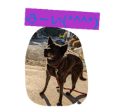 838915999