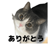 838917282