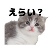 838917288