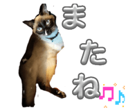 838917887