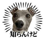 838918161