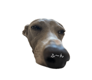 838918164