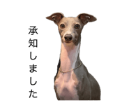 838918165
