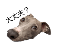 838918167
