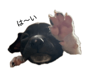 838918171
