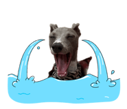 838918175