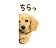 838918410