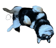 838918433