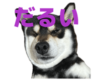 838918438