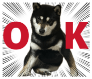 838918439