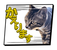 838918771