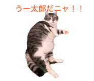 838918817
