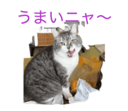 838918818