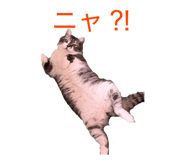 838918820
