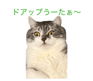 838918821