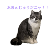 838918823