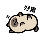 838930312