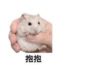 838930902