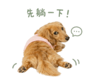 838931101