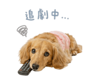 838931103