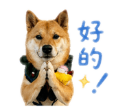 838932028