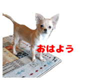 838932217
