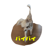 838932224