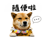 838932503