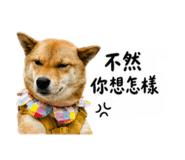 838932508