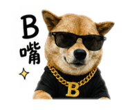 838932510