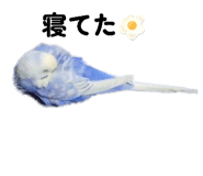 838932894