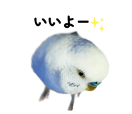 838932896