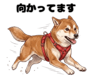 838932910