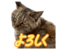 838932966
